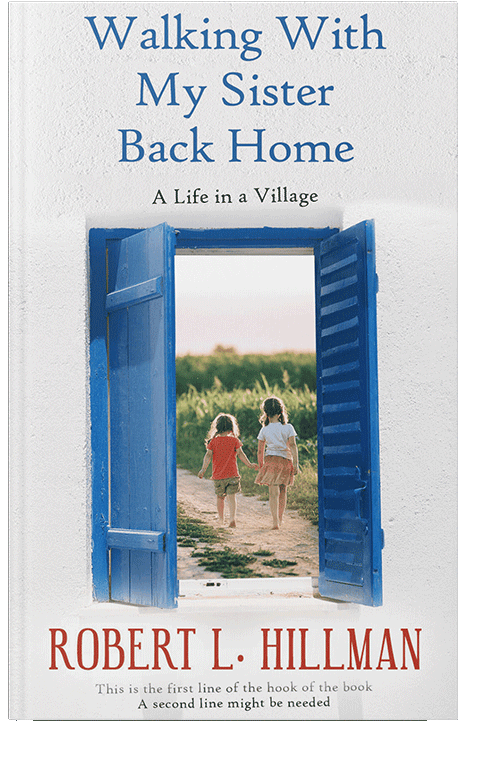 Front view of St Tropaz #114 - Premade Literary Fiction Book Cover