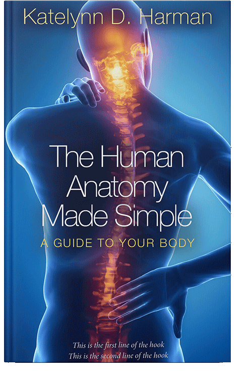 Front view of Chathams Blue #0209 - Premade Health & Mind & Body Book Cover | BookCoverZone