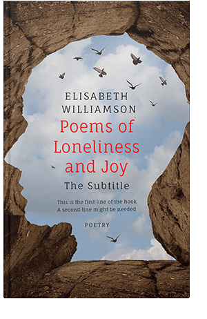 Pre Made Book Cover Loblolly