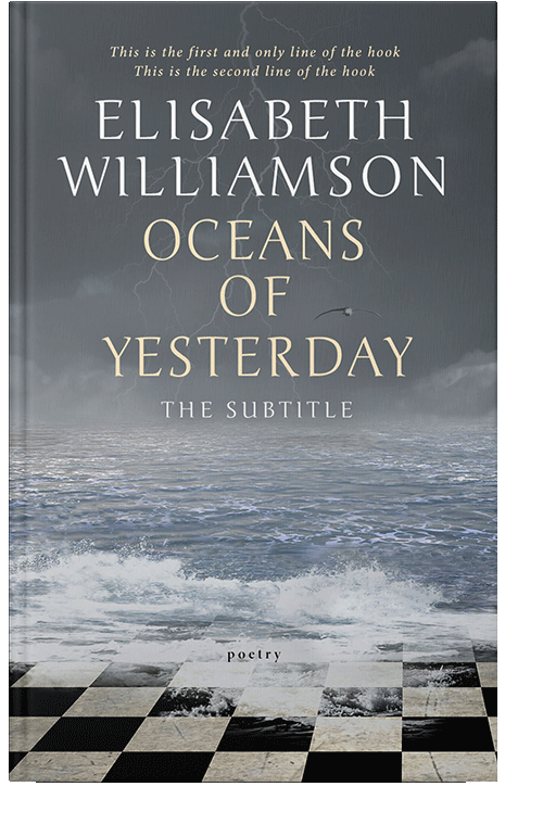 Front view of Mako #591 - Premade Fantasy Book Cover