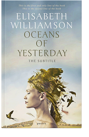 Pre Made Book Cover Celeste