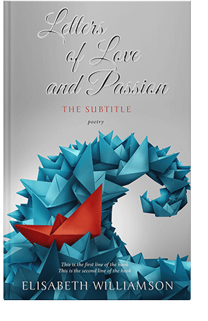 Pre Made Book Cover Silver