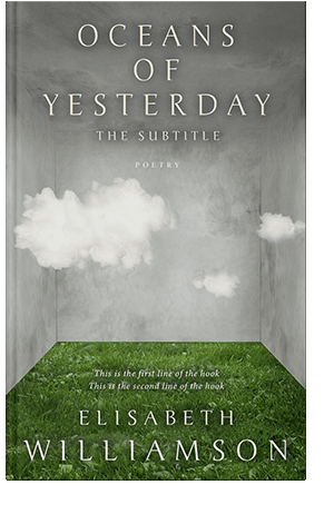 Pre Made Book Cover Limed Ash