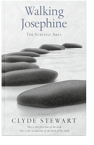 Pre Made Book Cover Abbey