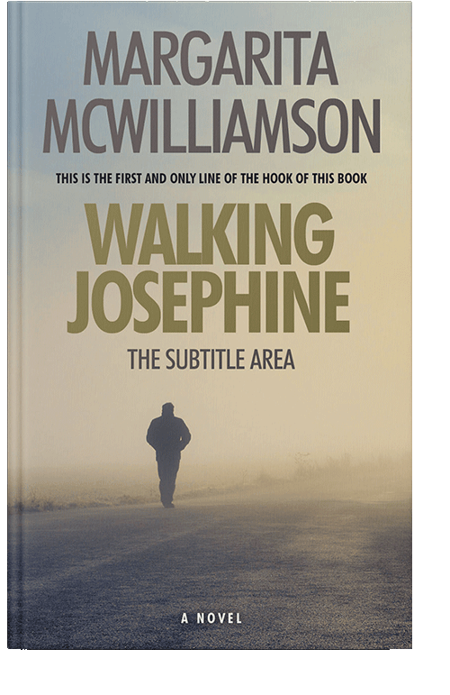 Front view of Bison Hide #713 - Premade Travel Book Cover