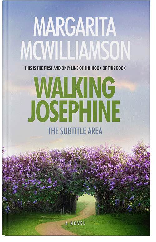 Front view of Gray Suit #714 - Premade Fantasy Book Cover