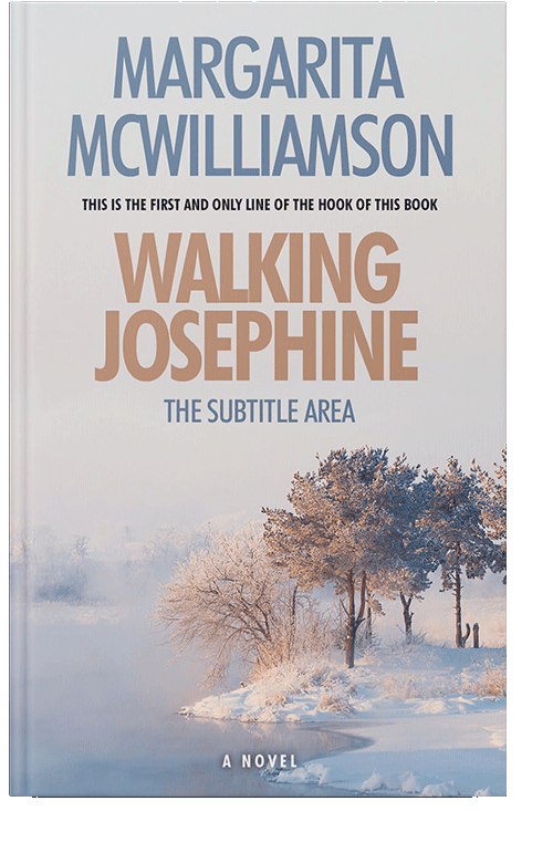 Front view of Swiss Coffee #716 - Premade Nature Book Cover