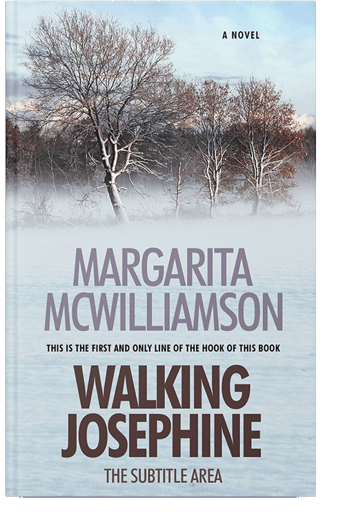 Front view of Mystic #731 - Premade Literary Fiction Book Cover