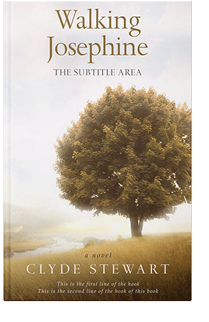 Pre Made Book Cover Metallic Bronze