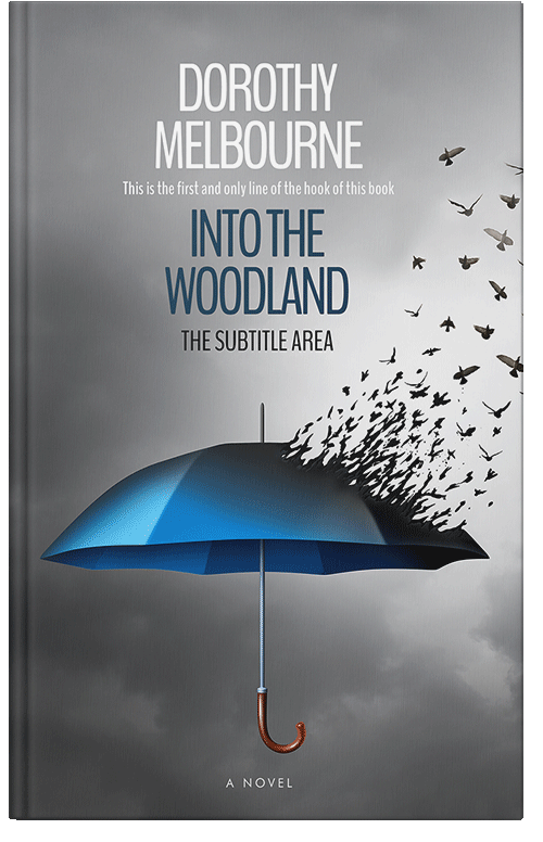 Front view of Rolling Stone #813 - Premade Business Book Cover