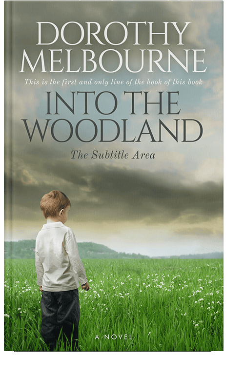 Front view of Battleship Gray #837 - Premade Literary Fiction Book Cover