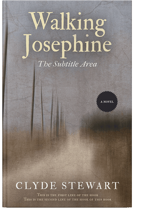 Front view of Schooner #897 - Premade Travel Book Cover