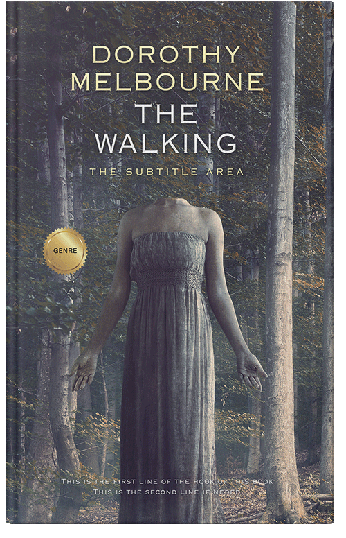 Front view of Ship Gray #993 - Premade Mystery & Thriller & Suspense Book Cover