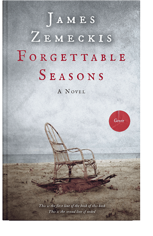 Front view of Silver Sand #1001 - Premade Literary Fiction Book Cover