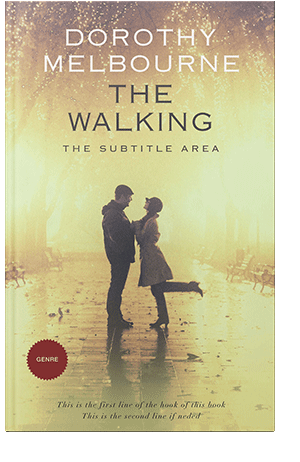 Pre Made Book Cover Winter Hazel