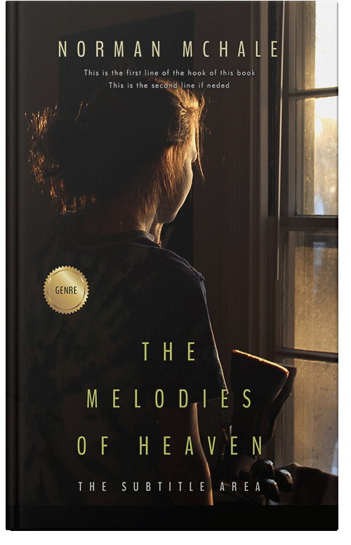 Front view of Premade Romance Book Cover - Night Rider