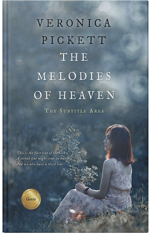 Front view of Premade Romance Book Cover - Shuttle Gray