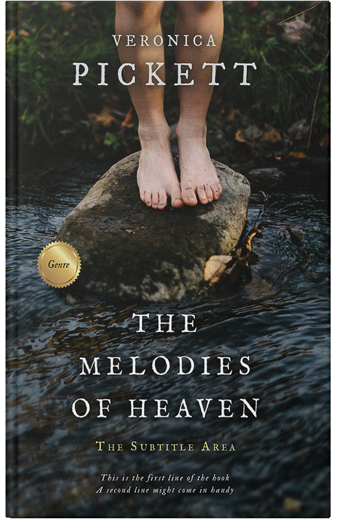 Front view of Premade Teen & Young Adult Book Cover - Heavy Metal