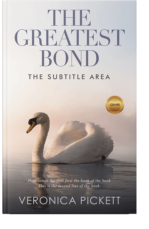 Front view of Gravel #1205 - Premade Abstract Book Cover