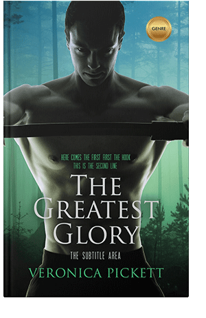 Pre Made Book Cover Aztec