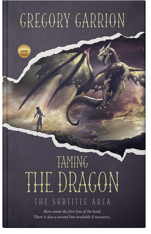 Front view of Premade Fantasy Book Cover - Ship Gray