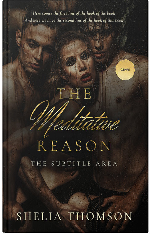 Front view of Night Rider #2935 - Premade Erotica Book Cover