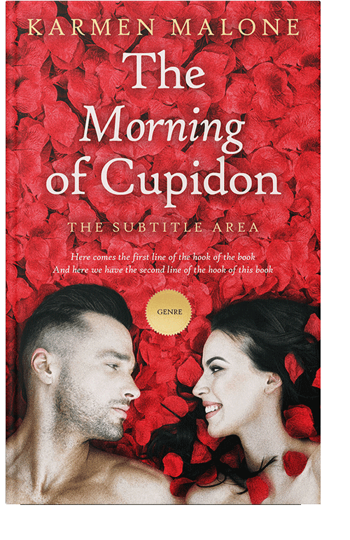 Front view of Punch #3508 - Premade Erotica Book Cover