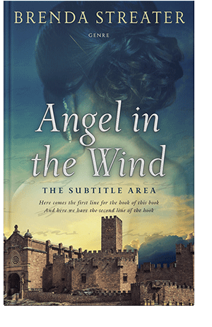 Pre Made Book Cover Blue Dianne