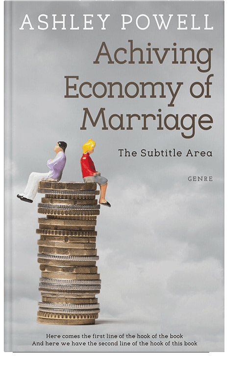 Front view of Silver #4244 - Premade Business Book Cover