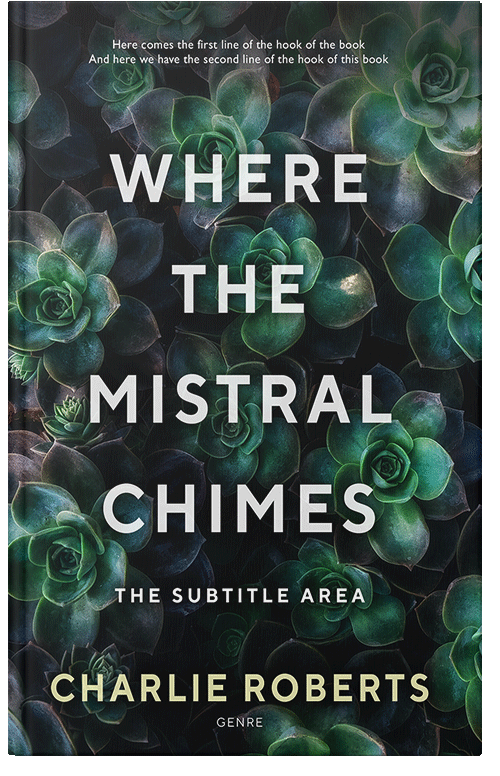 Front view of Premade Romance Book Cover - Aztec