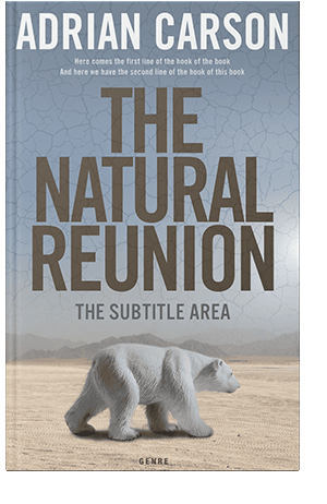 Pre Made Book Cover Bombay