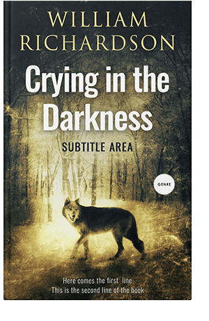 Pre Made Book Cover Straw