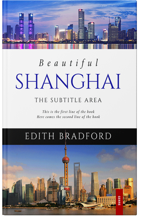 Front view of Wild Blue Yonder #5346 - Premade Travel Book Cover