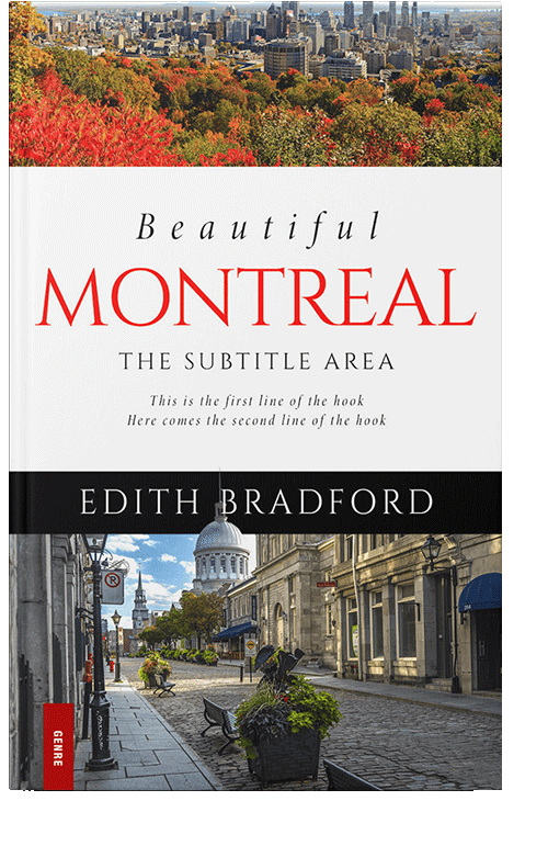 Front view of Armadillo #5374 - Premade Travel Book Cover | BookCoverZone