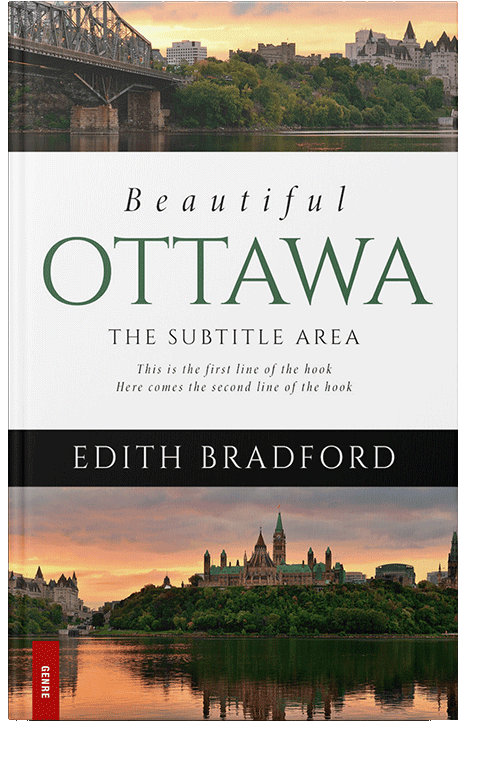 Front view of Tumbleweed #5375 - Premade Travel Book Cover