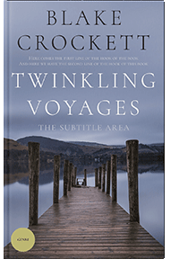 3D mockup of Manatee #6314 - Premade Literary Fiction Book Cover | BookCoverZone