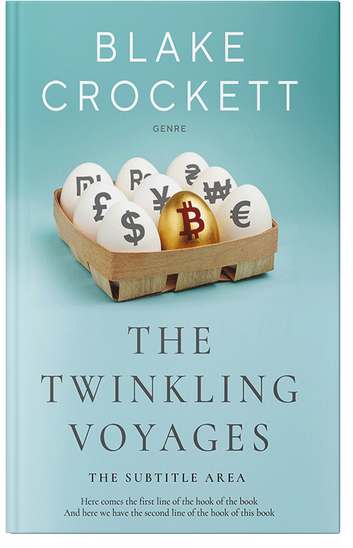 Front view of Premade Business Book Cover - Ziggurat