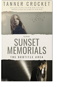 3D mockup of Log Cabin #6445 - Premade Romance Book Cover | BookCoverZone