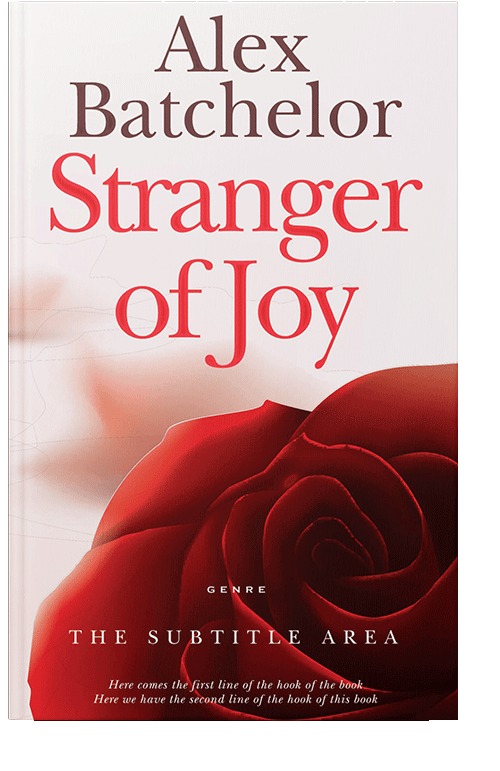 Front view of Fantasy #6566 - Premade Romance Book Cover