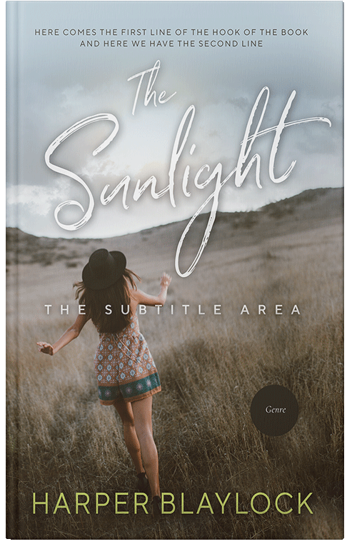 Front view of Premade Romance Book Cover - Silver Sand