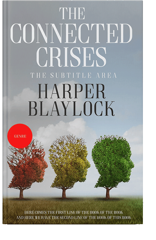 Front view of Gray Chateau #6826 - Premade Politics & Law & Society Book Cover