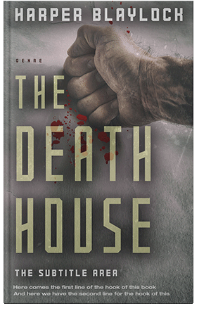 Pre Made Book Cover Flint