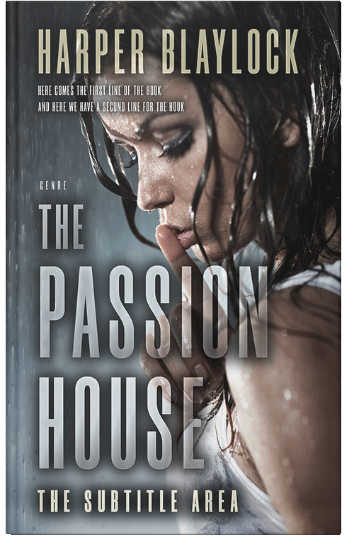 Front view of Premade Literary Fiction Book Cover - Thunder