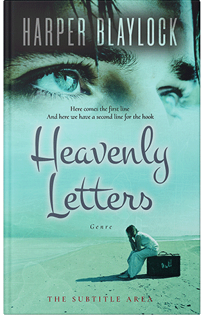 Pre Made Book Cover Sinbad