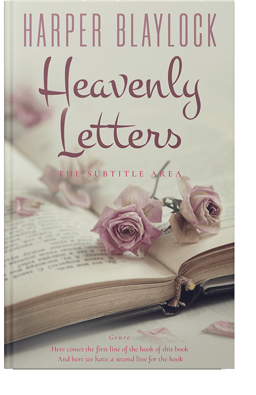 Front view of Foggy Gray #6925 - Premade Romance Book Cover