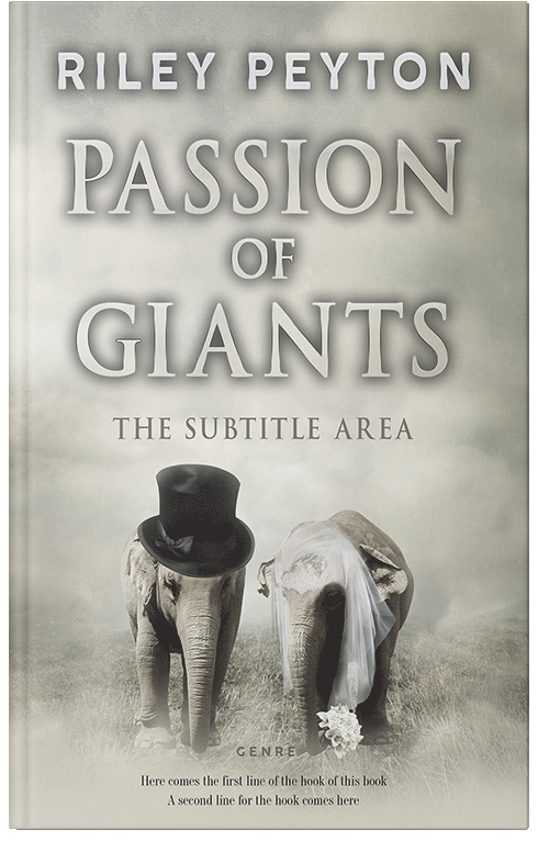 Front view of Premade Romance Book Cover - Ash