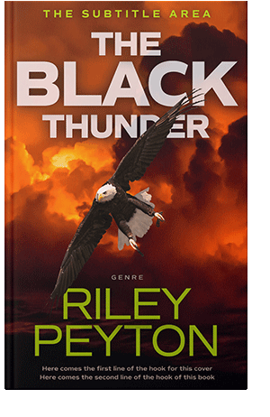 Pre Made Book Cover Aubergine