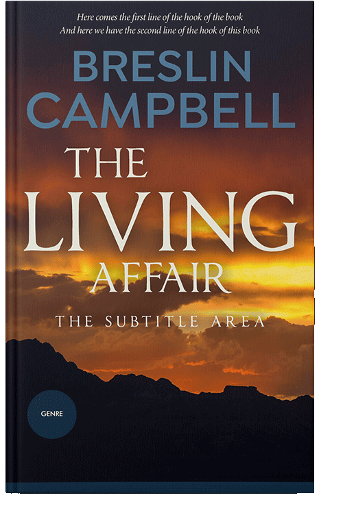 Front view of Gondola #7915 - Premade Travel Book Cover