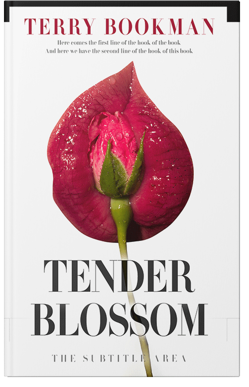 Front view of Premade Erotica Book Cover - Old Brick