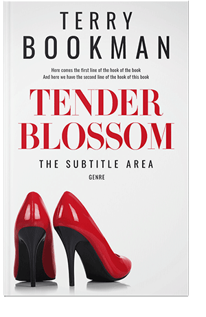 Pre Made Book Cover Seashell